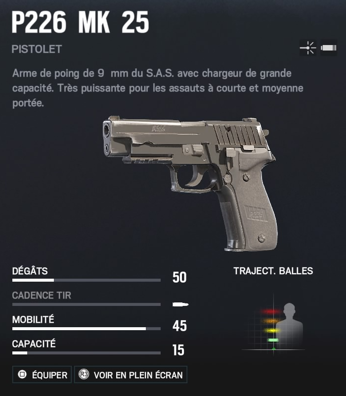 p226.png