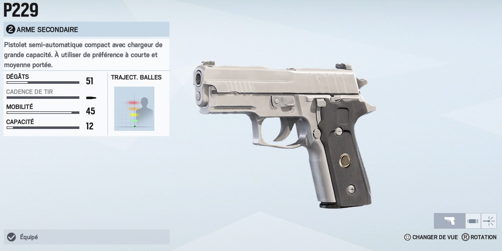 p229-2.png