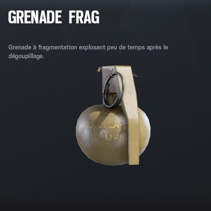 Grenade R6 Rainbow Six Siege : Le guide des opérateurs – EOR – Etats Unis - Polygamer